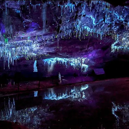 Domaine De ホテル Lacave