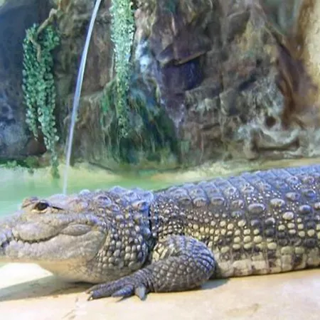 ホテル Domaine De 2*